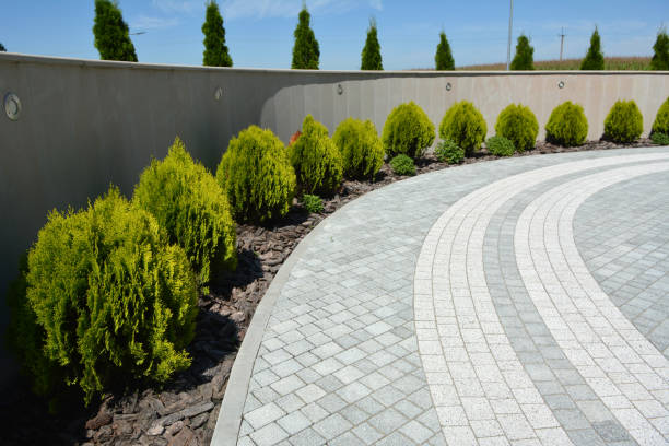 Best Brick Driveway Pavers  in Horse Cave, KY